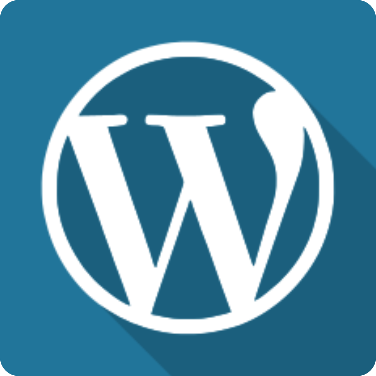 WordPress